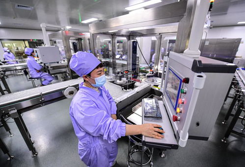 奋进新征程 建功新时代 伟大变革丨辽沈“智”变 软件服务的创新引擎驱动区域经济新跨越