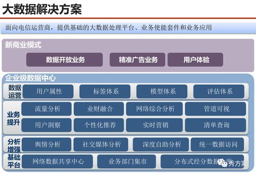 数据场景 服务型集团公司大数据应用解决方案 PPT 范本与数据处理服务设计